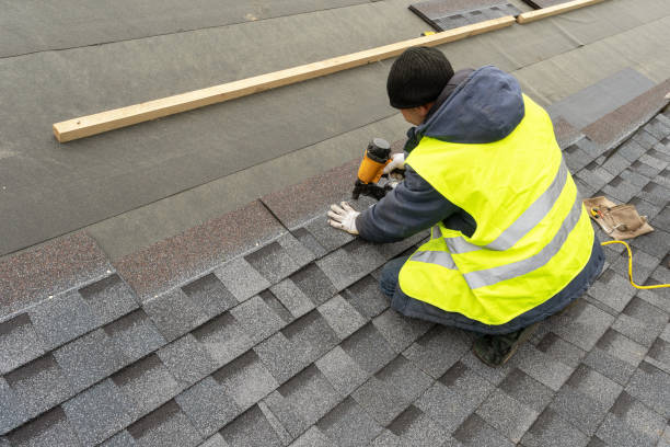 Best Roof Gutter Cleaning  in Tonganoxie, KS
