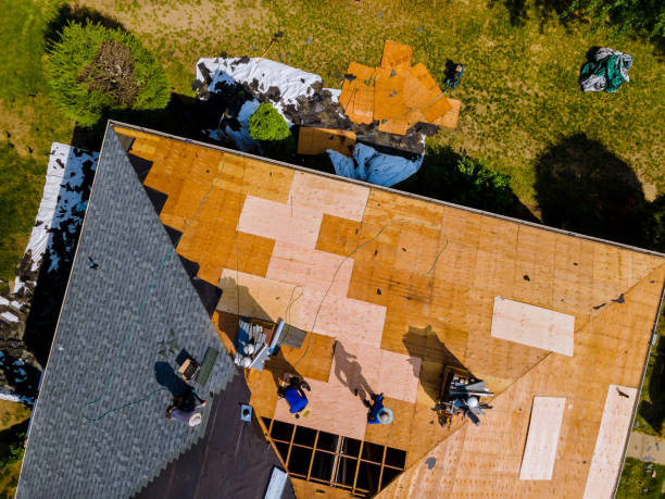Best Metal Roofing Contractor  in Tonganoxie, KS