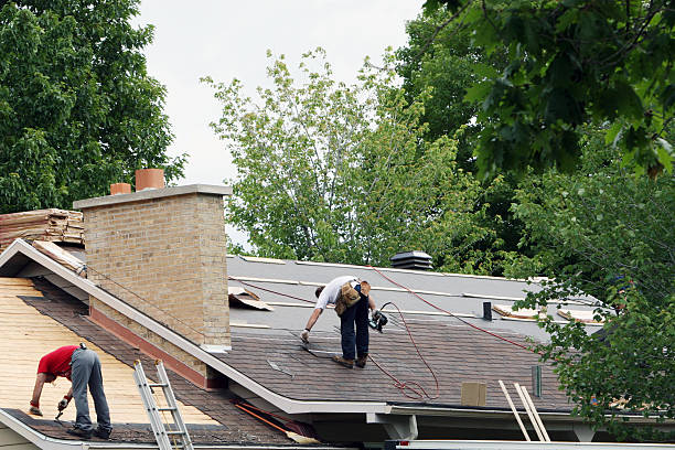 Best Roof Gutter Cleaning  in Tonganoxie, KS