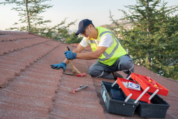 Best Roof Leak Repair  in Tonganoxie, KS