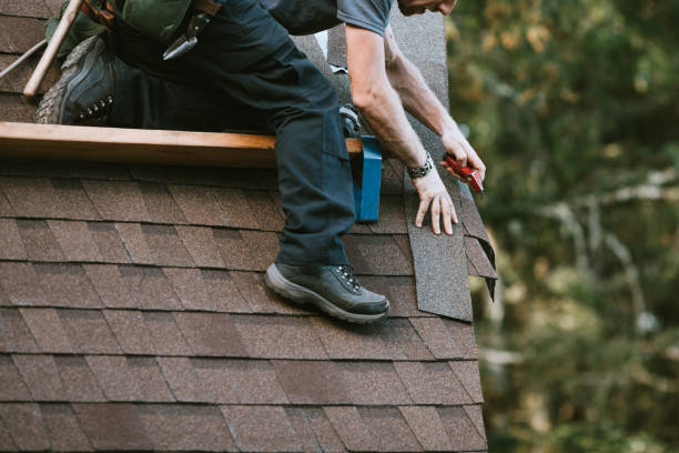 Best Roof Maintenance Services  in Tonganoxie, KS
